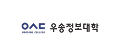 우성정보대학